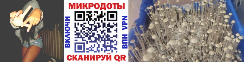Галлюциногенные грибы Magic Shrooms  купить наркоту  Амурск 